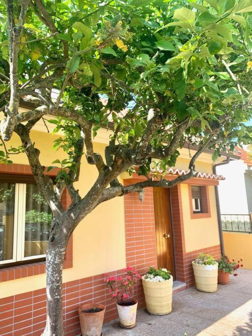 Top Beach House Costa de Caparica Zewnętrze zdjęcie